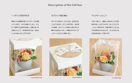 プリフラギフトボックスＳウインター【クリスマス限定！申込は11月30日まで】 パープル