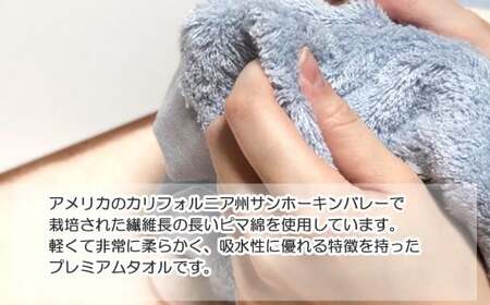 【今治タオル】【Hello!NEW タオル】バスタオル2枚セット　シンプルサンホーキン Bセット（ブルー）