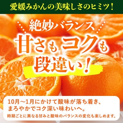 のま果樹園の愛媛みかん(約3kg)バラ詰め【1759295】