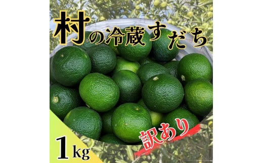＜出荷始まりました！＞  村の『訳あり』冷蔵すだち 1kg 《9月下旬-12月下旬より順次お届け》【配送不可地域あり】※離島 | スダチ 柑橘 佐那河内 さなごうち 徳島 とくしま 果汁 1キロ 訳あり 訳アリ 不揃い