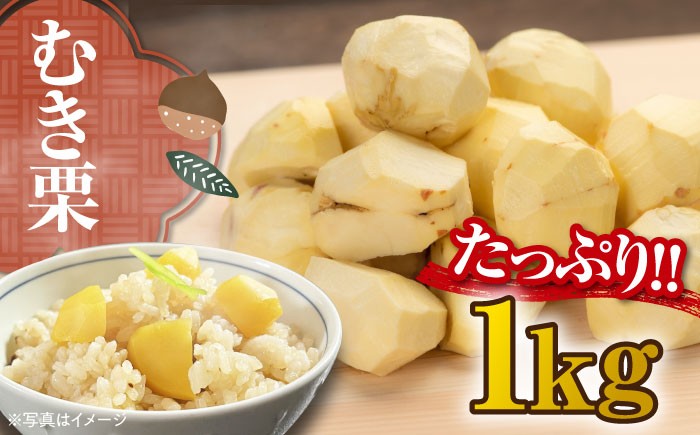 
                  栗【2026年10月上旬から順次発送】ムキ栗 1.0kg（真空パック） 愛媛県大洲市/沢井青果[AGBN034] 栗 クリ くり 栗ご飯 炊き込みご飯 料理 簡単調理 時短 手軽 便利 栗ご飯 くだもの 果物 旬の果物 秋果物 秋の味覚 フルーツ スイーツ デザート おやつ ふるーつ モンブラン 栗きんとん タルト 焼き菓子 お菓子作り 生栗 おすすめ 人気 お取り寄せ 送料無料 贈答 ギフト
                