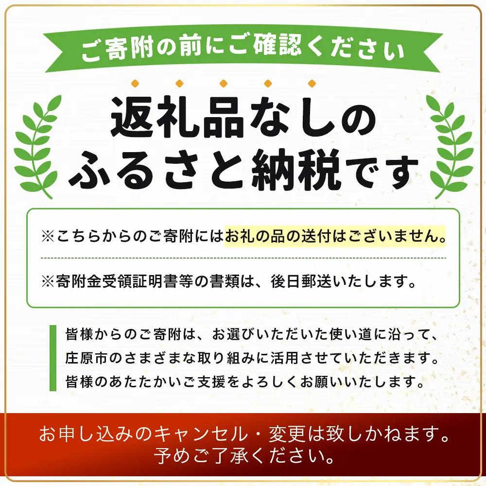返礼品なしの寄附（寄付金額 1,000円）広島県庄原市の未来の為の応援寄附