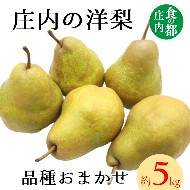食の都庄内　庄内の洋梨（品種おまかせ）約5kg※9月下旬～1月下旬頃まで配送 [HS4-042(庄内旬青果)]