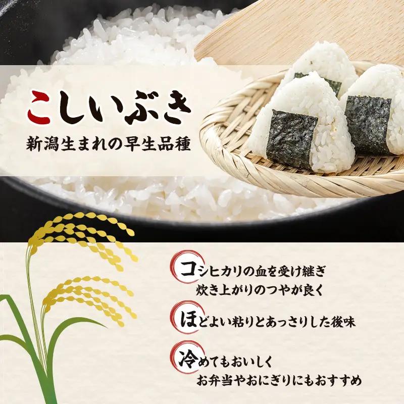 【先行予約】R8年産 新潟県産 品種おまかせ  5kg 6か月定期便 新潟県 新潟市産 令和8年産 お米 精米 米 ご飯 送料無料