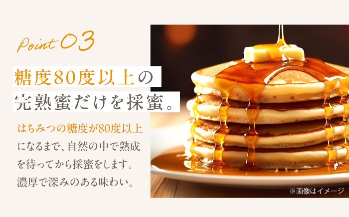 高槻産 贈答 ギフト 産地直送 取り寄せ 送料無料 大阪