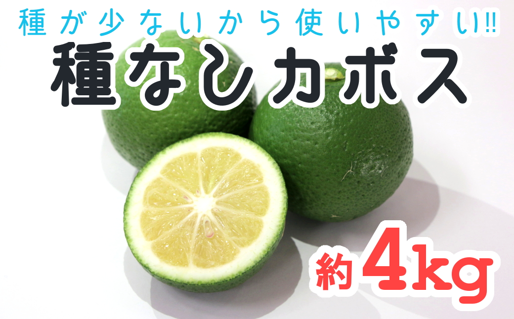 【先行予約】種が少ないから使いやすい！佐々木さんの「種なし（小種）カボス」約4kg