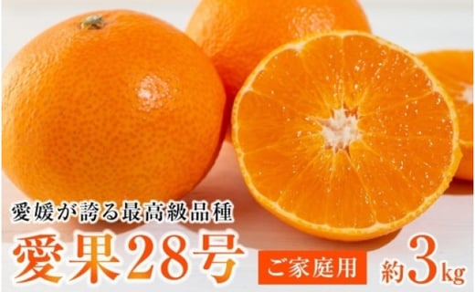 
                  【2026年12月上旬から順次発送】愛媛が誇る最高級品種【愛果28号】ご家庭用 3kg (10-15個前後)　あいか ご家庭用 みかん 数量限定 みかん 愛媛県産 みかん 愛果28号 松山市 みかん 愛果28号 みかん 蜜柑 愛果28号 ミカン みかん 旬 愛果28号 愛媛県 松山市
                