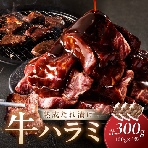 たれ漬けハラミ 1パック100ｇ×3袋＜牛肉 お肉専門店 訳あり ハラミ サガリ 味付け肉 小分け 個包装 牛肉 タレ漬け 手作り 焼肉 肉 牛ハラミ BBQ 送料無料＞