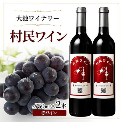 ふるさと納税 山形村 【冷やして飲むのがおススメ】大池ワイン 村民ワイン(赤ワイン) 750ml 2本セット