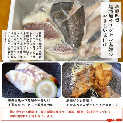 ふるさと納税 西予市 漁師直送　無添加　夏の塩麹　三種セット(愛媛県西予市明浜産) |  | 01