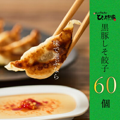 【ふるさと納税】かごしま黒豚しそ餃子60個(タレ付)【配送不可地域：離島】【1185902】