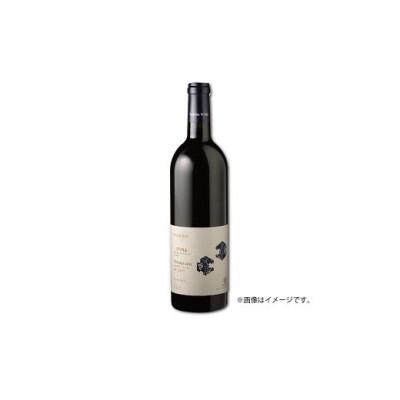 ふるさと納税 京丹波町 赤ワイン 京都丹波産 タナ 750ml 1本 自社農園産タナ使用