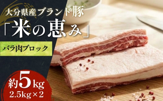 大分県産ブランド豚 奥豊後豚（米の恵み） バラ肉ブロック 5kg (2.5kg×2) 豚バラ 豚肉