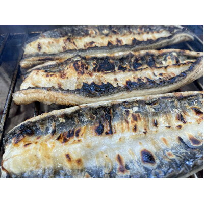 【ふるさと納税】【国産うなぎ】大サイズ140g -170g　三河一色産　10尾　炭火蒲焼き(タレ付き)【配送不可地域：離島】【1659364】