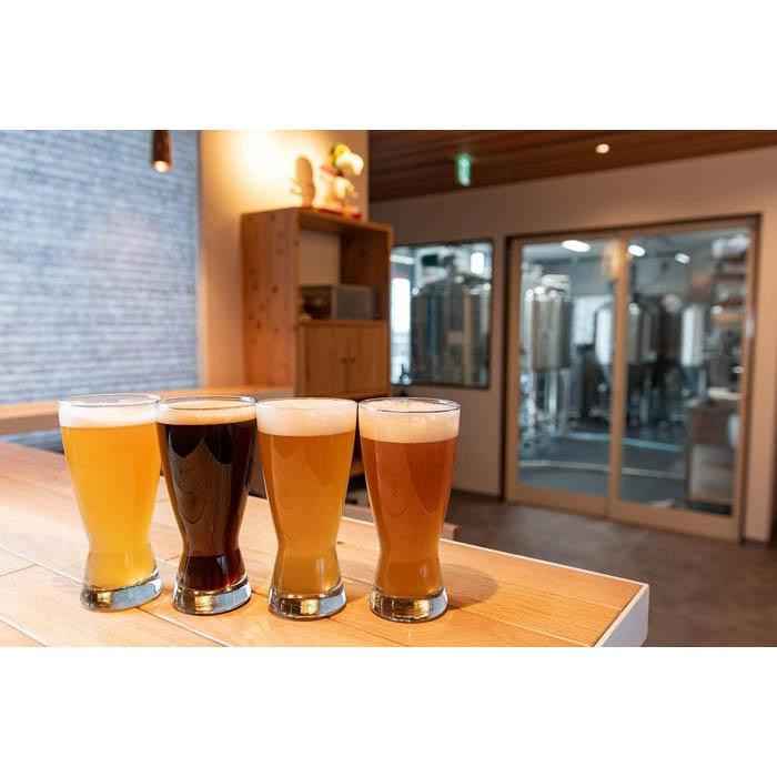 NANBU CRAFT BREWERY 12本 飲み比べセット 南部クラフトブルワリー クラフトビール 地ビール ビール 麦酒 お酒 酒 アルコール 飲料 詰め合わせ アソート 家飲み 晩酌 宅飲み 