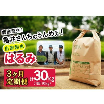 ふるさと納税 伊勢原市 【発送月固定定期便】10月下旬より順次発送　伊勢原産 精米 合計30kg はるみ全3回