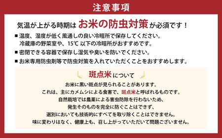 【2025年12月中旬発送】令和7年産新米 特別栽培米 循環型農業で作った「にじのきらめき」10kg (5kg×2) 米 コメ こめ 特別栽培 先行 先行予約 精米 白米 人気 おすすめ 5kg 米 
