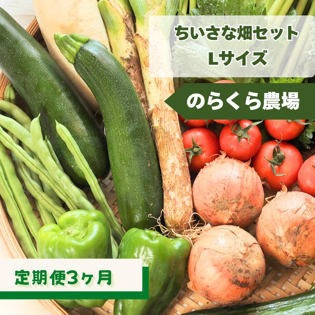 【ふるさと納税】≪先行受付≫定期便3カ月　ちいさな畑セット（Lサイズ　3～4人前）（NK-T506）