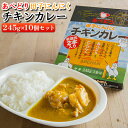 【ふるさと納税】あべどり 田子にんにくチキンカレー 245g×10個セット　【 加工食品 惣菜 レトルトカレー カレー 手羽チキン にんにく 中辛 ランチ ストック 時短料理 】