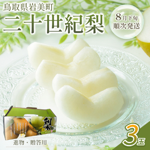【先行予約】中野農園 梨 ”二十世紀梨” 3玉入り｜鳥取 岩美 梨 なし ナシ※お届けは2026年8月下旬以降【41024】