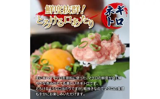 鯛の漬け丼＆マグロのネギトロ 各10P 計20P 訳あり【漬け丼＆ネギトロ】