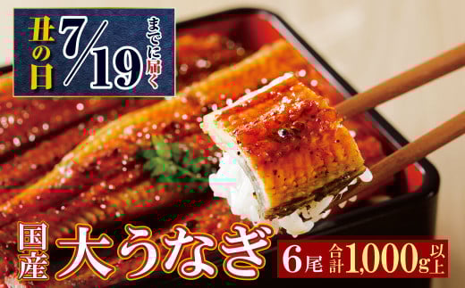 U61-72R01 丑の日の前日までにお届け 国産うなぎ蒲焼大サイズ6尾（計1000g以上）鰻蒲焼用タレ・山椒付 うなぎ生産量日本一鹿児島県産・宮崎県産・熊本県産 うなぎ 鰻 国産 うなぎ蒲焼き うな重 ひつまぶし 国産鰻 ウナギ 蒲焼 人気 鰻 おすすめ タレ 山椒 鰻 6尾 大容量 鰻 うなぎ ウナギ 国産 福智町 丑の日