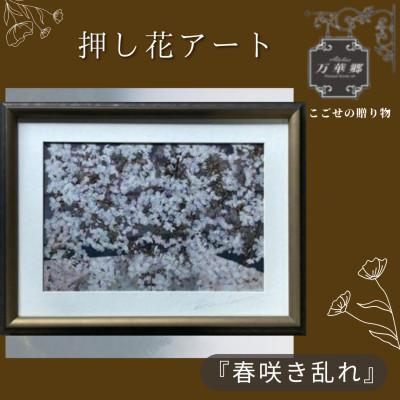 ふるさと納税 千早赤阪村 1点もの　押し花アート 『春咲き乱れ』額付き