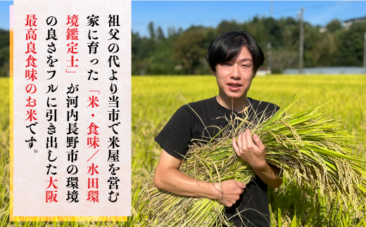 【令和7年10月10日以降順次発送】【定期便　毎月お届け3ヵ月】国際コンクール受賞 純粋 河内長野日野産米 約4.5kg きぬむすめ 新米 2025 精白米 無農薬 おいしい 美味しい 受賞米 水田環