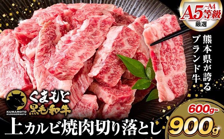 
            A4～A5等級 黒毛和牛 切り落とし 上 カルビ 焼肉 切り落とし 600g 900g《30日以内に出荷予定(土日祝除く)》くまもと黒毛和牛 熊本県 産山村 上カルビ 焼肉用 黒毛和牛 焼肉 肉 お肉 和牛 A5 A4 300g 小分け
          