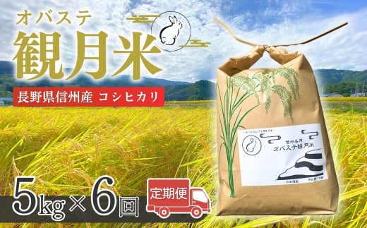 【令和7年産 新米予約】【定期便6ヶ月】贅沢な棚田のお米 オバステ観月 ( 5kg ) 令和7年産｜ 精米 白米 コシヒカリ 姨捨 信州 千曲市 長野県産