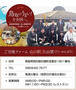 大山望 鳥取和牛 サーロインステーキ 1枚250g 牛肉 和牛 お肉 ステーキ