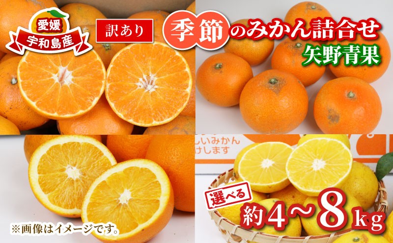 
                  【みかん詰合せ】 訳あり 季節 の みかん 詰合せ 選べる 容量 約 4kg ~ 8kg 矢野青果 フルーツ 詰め合わせ セット 柑橘 ミカン 蜜柑 mikan 果物 くだもの 愛媛みかん 愛媛蜜柑 濃厚みかん 産地直送 数量限定 国産 愛媛 宇和島
                
