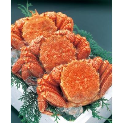 ふるさと納税 森町 前浜茹で毛がに 約420g〜450g×3尾