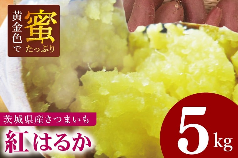 
            焼き芋好きのための黄金色で蜜たっぷりサツマイモ 紅はるか 約5kg｜さつまいも サツマイモ お芋 紅はるか 蜜 やきいも 焼き芋 ヤキイモ 茨城県 行方市(BI-71)
          