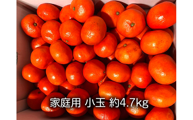 
[№5341-0292]家庭用　小原紅早生みかん（小玉約4.7kg）
