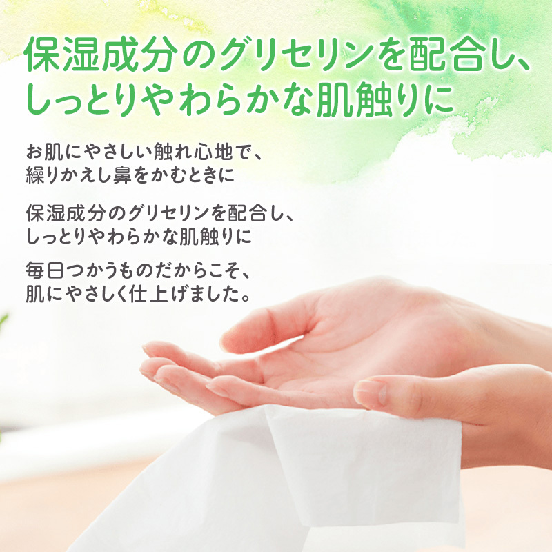エリエール ハーフサイズ 収納に便利 コンパクト 少量5パック 北海道 しっとりティシュー なまらたっぷり 240組3箱 5パック 計15箱 ふるさと納税限定デザイン ボックスティシュー 箱ティッシュ