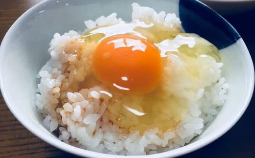 江原ファーム　体に優しい地養卵 ５０個 割れ補償 | 卵 50個 赤玉 玉子 たまご タマゴ 生卵 鶏卵 生みたて 産みたて 地養卵 新鮮 濃厚 健康 TKG たまごかけごはん ご飯のお供 国産 ギフ