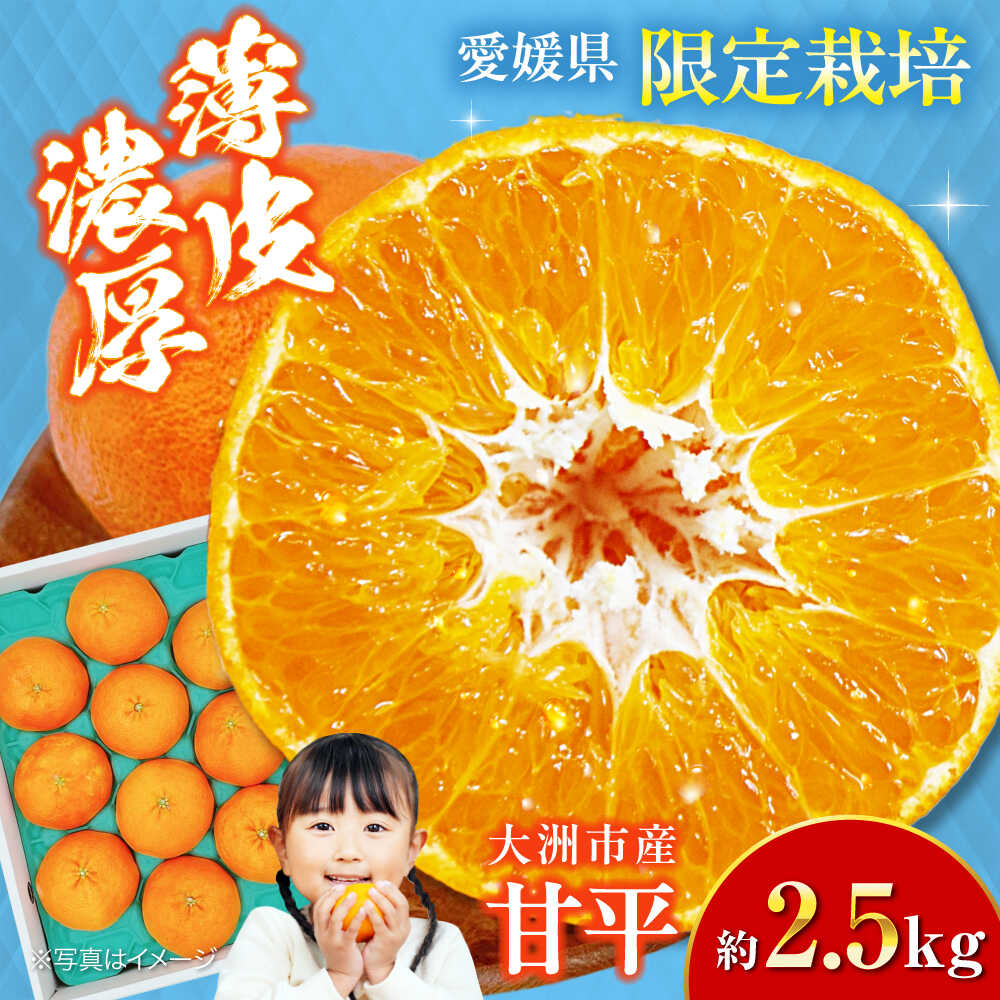 【ふるさと納税】愛媛オリジナル柑橘！大玉「秀品 甘平」 3Lから5L 約2.5kg 7から10個 大洲市/株式会社フジ・アグリフーズ[AGBA006] みかん ミカン 蜜柑 愛媛ミカン 高級柑橘 かんぺい 甘平 果物 くだもの フルーツ 愛媛県産 大洲市産 産地直送 おすすめ 人気