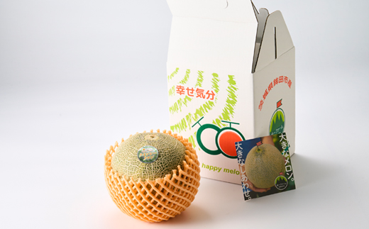 【山一ファーム】2024いばらきメロン品評会グランプリ受賞生産者が贈るクインシーメロン(4L・1個)【配送不可地域：離島・沖縄県】