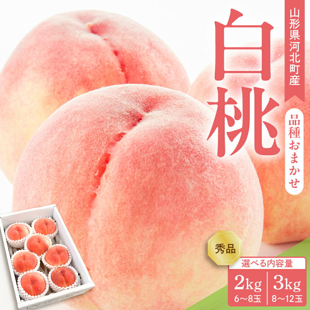 【ふるさと納税】 令和7年産 桃 白桃 品種おまかせ 選べる内容量 2kg (6~8玉前後) 3kg (8~12玉前後) ギフト箱入 秀品 山形県産 【山形eLab】 果物 フルーツ 産地直送 特産品 お取り寄せ グルメ 山形県 河北町