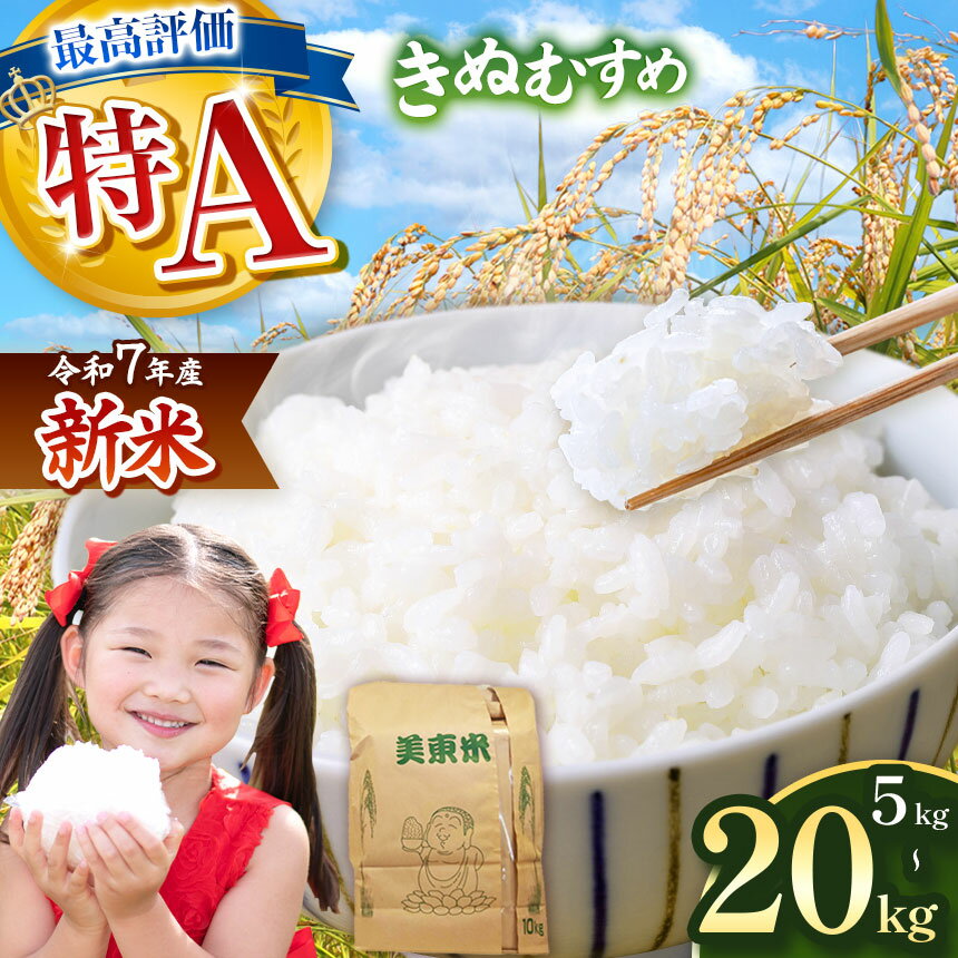 【ふるさと納税】 令和7年度産 新米 きぬむすめ ( 白米 5kg ~ 20kg ) 先行予約 ＜ 2025年9月中旬～12月より順次発送予定 ＞｜ 米 精米 新米 白米 米 雑穀 お米 コメ 単一米 きぬむすめ 絹娘 山口 美祢 秋吉台 5kg 10kg 15kg 20kg