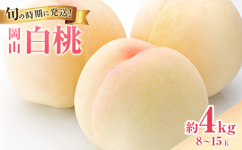 【2027年先行受付】 白桃 岡山 秀品 大玉 約4kg(8～15玉) 岡山県産 桃 もも モモ 御中元 ギフト 御礼 プレゼント 御礼 御祝 御供 果物 くだもの フルーツ