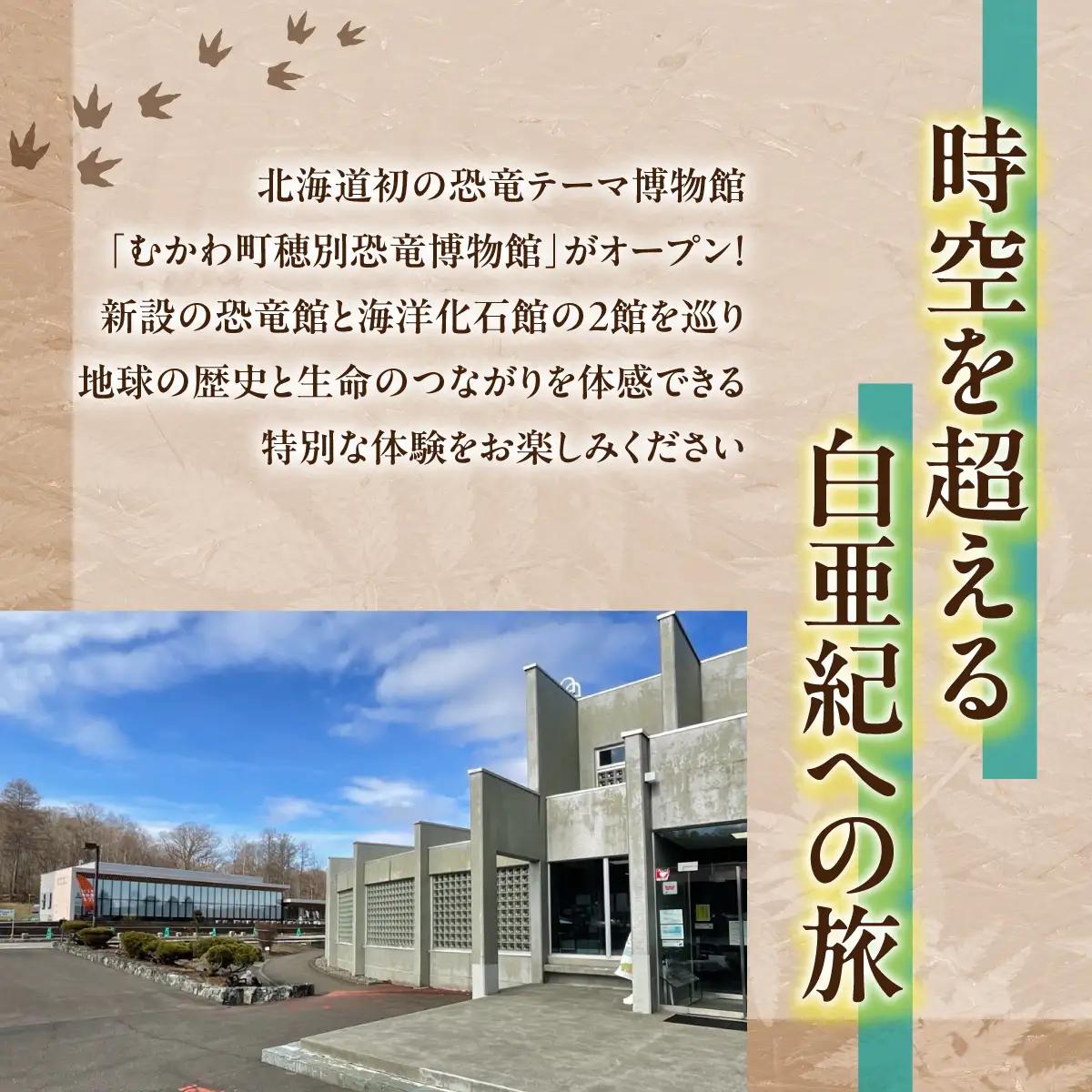 【令和8年4月25日OPEN】恐竜×海洋化石！むかわ町穂別恐竜博物館 共通入館券　大人用２枚セット MKWAM004