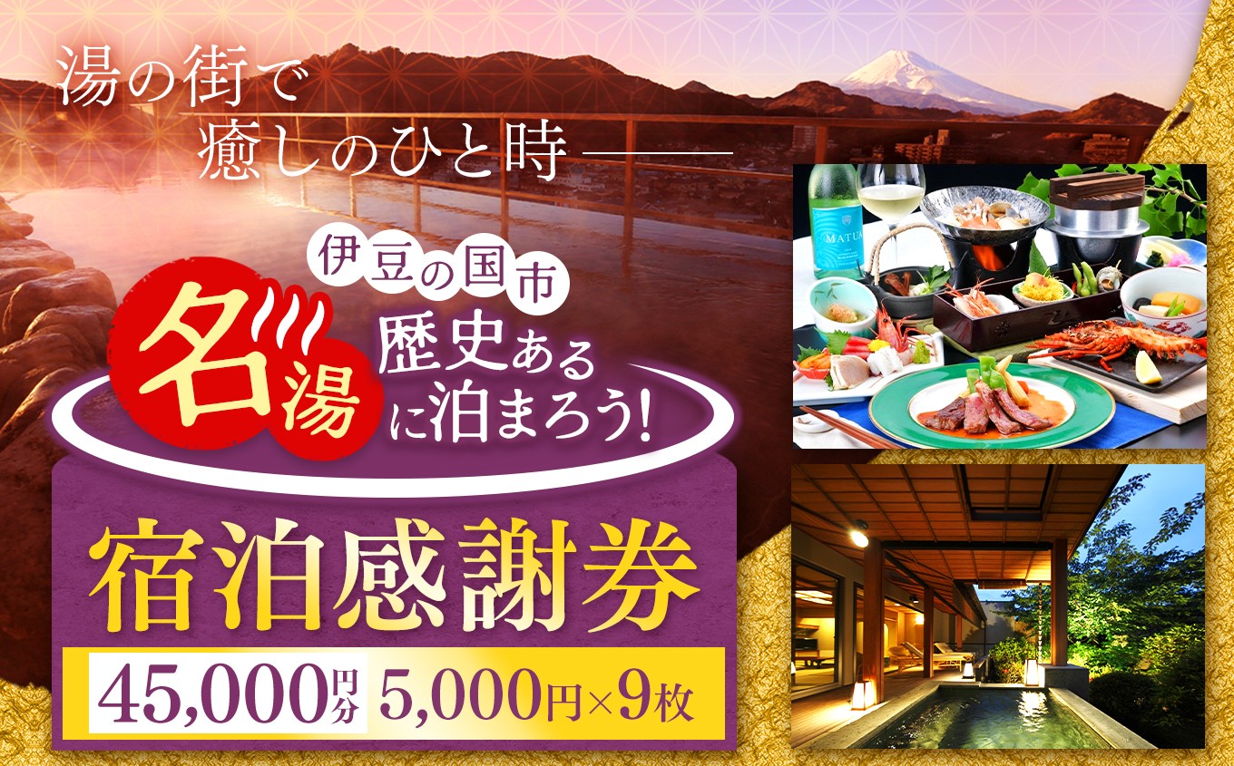 
No.171101-07 伊豆の国市宿泊感謝券（5000円×9枚）
