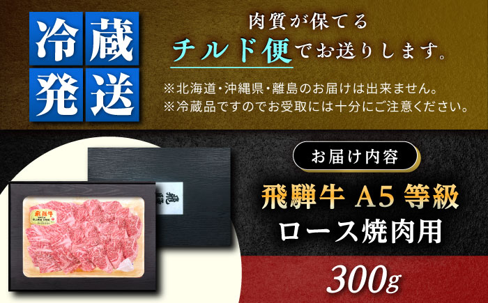 【チルド（冷蔵）発送！】 「飛騨牛」 A5等級 ロース 300g / 牛肉 焼肉 鉄板焼き 網焼き BBQ / 恵那市 / 東美濃農業協同組合 [AUFX007] 300g