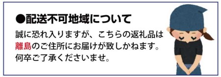 【ご家庭用訳アリ】紀州有田産濃厚完熟温州みかん　7.5kg　※2024年11月下旬頃～2025年1月下旬頃に順次発送(お届け日指定不可)【uot704】