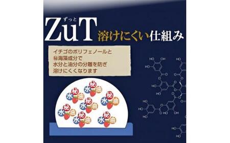 ZuT 溶けにくい アイス 6個(3種×各2) ミルク アイスクリーム チョコレート アイスクリーム イチゴ アイスクリーム ジェラート アイスクリーム スイーツ アイスクリーム デザート アイスクリ