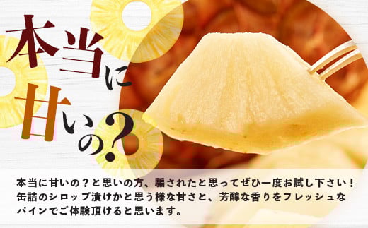 《2026年5月中旬以降順次発送》【先行予約】香りに溺れる！？ 完熟の極 てとの黄金パイン大玉約2kg【 沖縄 石垣 ゴールデン パイン パイナップル 完熟 セット フルーツ デザート オリジナル 】