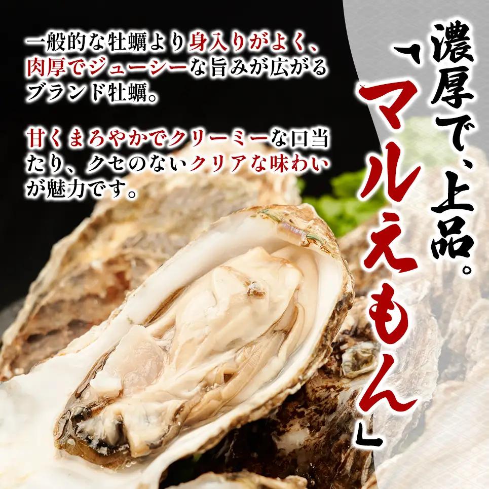 北海道 厚岸産 ブランド牡蠣 マルえもん 殻付き 牡蠣 LLサイズ 14個 【光輝】 [ 魚貝類 生牡蠣 海鮮 海の幸 生食用牡蠣 生食用 生食用殻付き牡蠣 濃厚 甘み  オイスター ]  