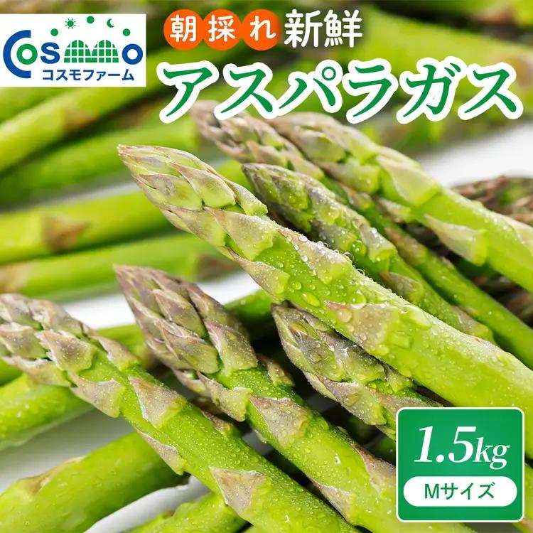 朝採り新鮮アスパラガス 1.5kg【Mサイズ】 | アスパラガス